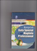 Mengolah Data Spasial Dengan MapInfo Professional. STIE